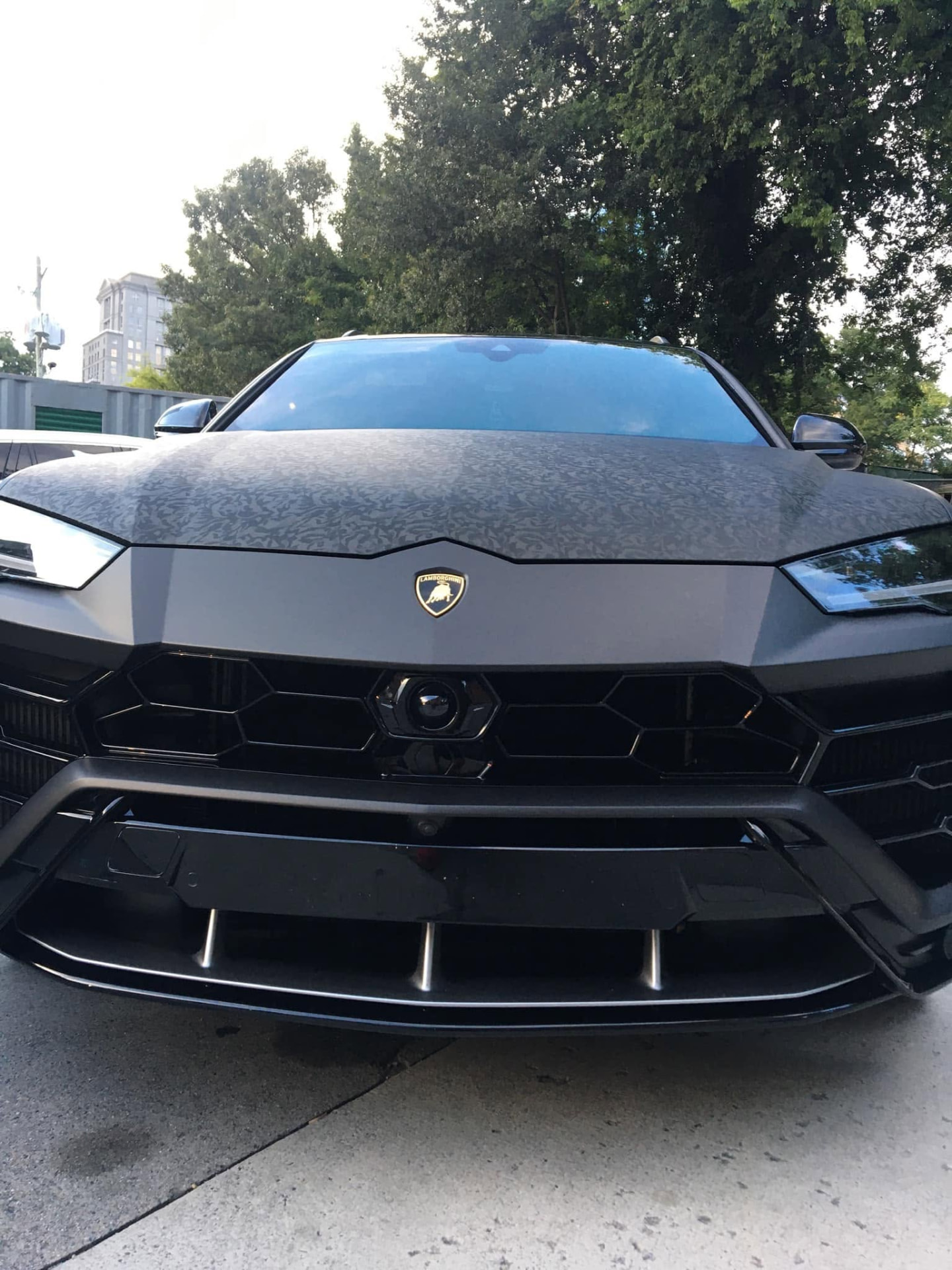 Freshly detailed glossy black luxury car with gold highlight lighting — mobile car detailing in Muskegon, MI